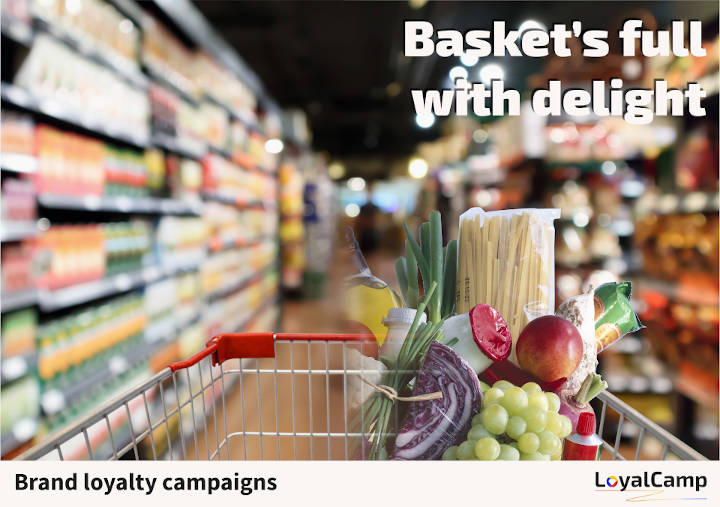 Loyalcamp ad with messaging sample | awezzom